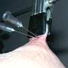 Amateur needle pain and foot whipping bastinado